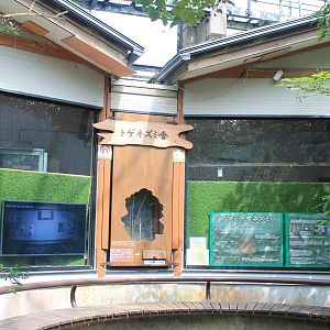 Amami Spiny Rat display - Hirakawa Zoo (Kagoshima)