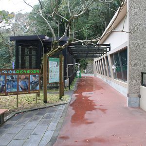 South American area - Hirakawa Zoo (Kagoshima)
