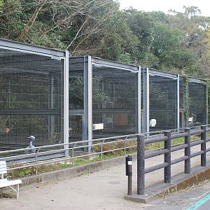 Crane aviaries - Hirakawa Zoo (Kagoshima)
