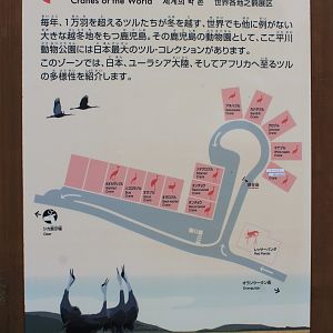 Layout of crane aviaries - Hirakawa Zoo (Kagoshima)