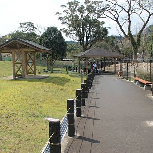 Kangaroo walk-through - Hirakawa Zoo (Kagoshima)