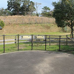 Emu and Black Swan enclosure - Hirakawa Zoo (Kagoshima)