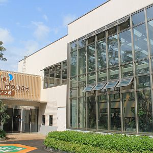 Koala House - Hirakawa Zoo (Kagoshima)