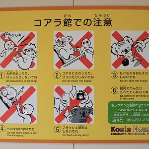 Koala House rules - Hirakawa Zoo (Kagoshima)