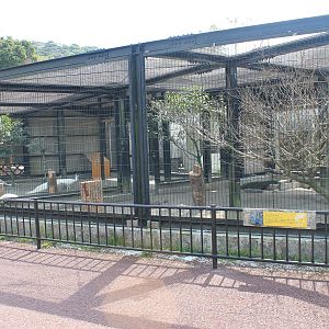 Peafowl aviaries - Hirakawa Zoo (Kagoshima)