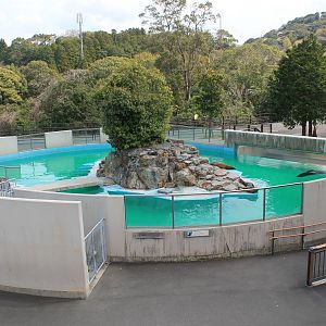 Californian Sealion pool - Hirakawa Zoo (Kagoshima)
