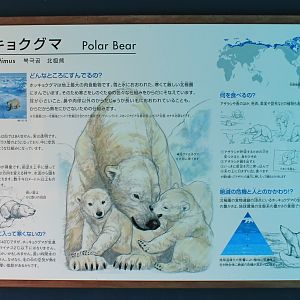 Polar Bear signage - Hirakawa Zoo (Kagoshima)