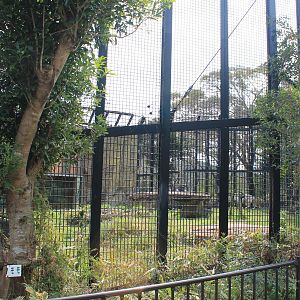 White Tiger cage - Hirakawa Zoo (Kagoshima)