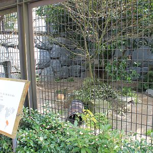 Bush Dog cage - Hirakawa Zoo (Kagoshima)
