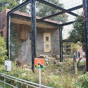 Mainland Leopard Cat cage - Hirakawa Zoo (Kagoshima)