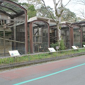 Monkeys of the World cages - Hirakawa Zoo (Kagoshima)