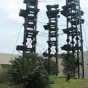 Chimpanzee enclosure - Hirakawa Zoo (Kagoshima)