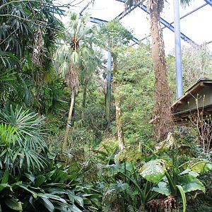 Walk-through aviary - Hirakawa Zoo (Kagoshima)