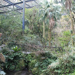 Walk-through aviary - Hirakawa Zoo (Kagoshima)