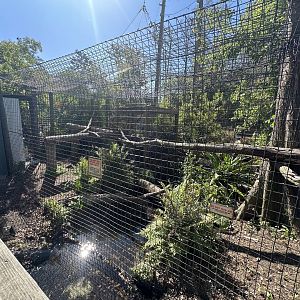 Mar. 2025 - Crocodile Monitor Enclosure