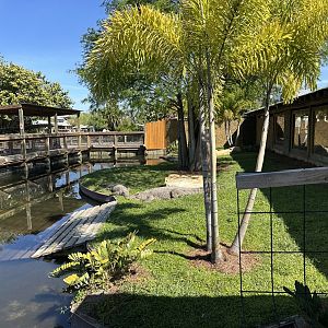 Mar. 2025 - Cuban Crocodile Enclosure