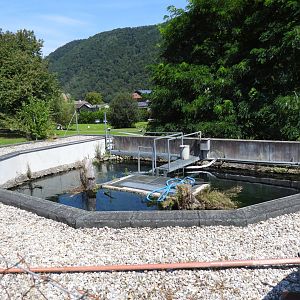 Mini Donau Engelhartszell - Main tank from above
