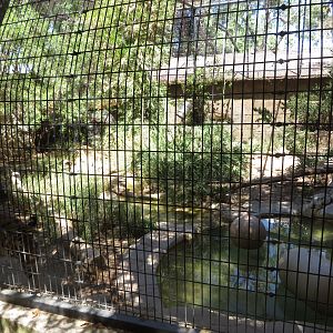 Malayan Tiger Exhibit