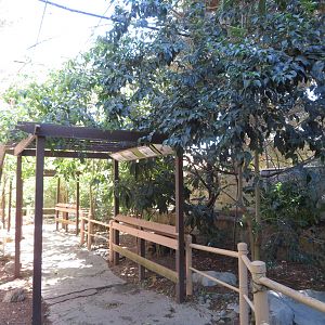 Walk-through Aviary