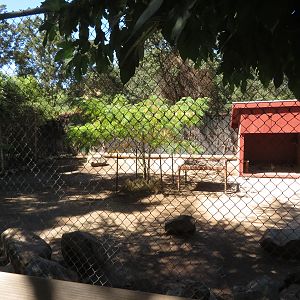 Seriema/Mara Exhibit