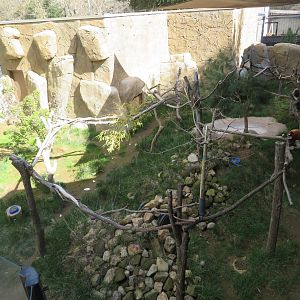 Red Panda/Muntjac Exhibit