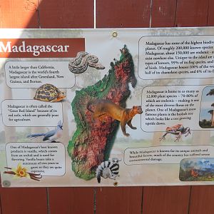 Madagascar Poster