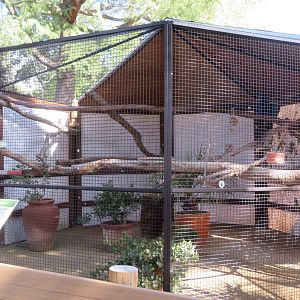 New Hyacinth Macaw Exhibit