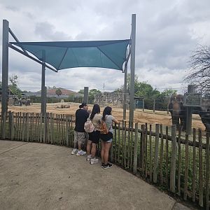 Multigenerational Herd Enclosure