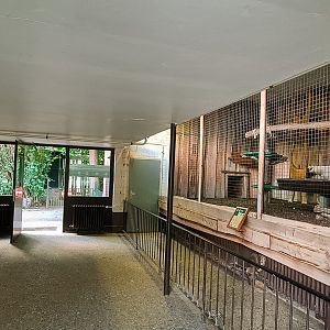 House for Jaguargundi and Kikuyu Guereza