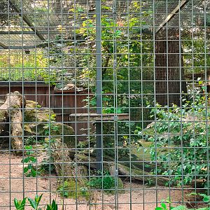 One of the many connected snow leopard cages