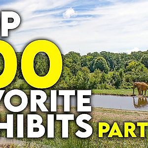 My Top 100 Favorite Zoo Exhibits - PART TWO