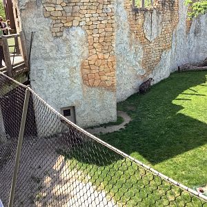 Columbus Zoo: Heart of Africa-Watering Hole