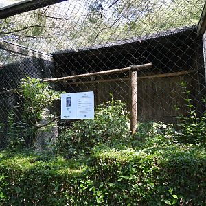 Greifvogelzuchtstation (Birds of prey breeding station) Hagenbachklamm - Eagle owl aviary