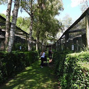 Greifvogelzuchtstation (Birds of prey breeding station) Hagenbachklamm