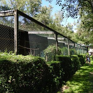 Greifvogelzuchtstation (Birds of prey breeding station) Hagenbachklamm