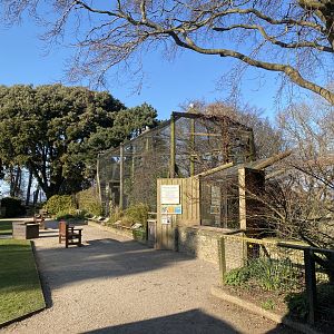 African Aviary 190325