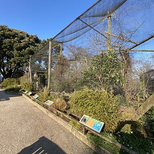 African Aviary 190325