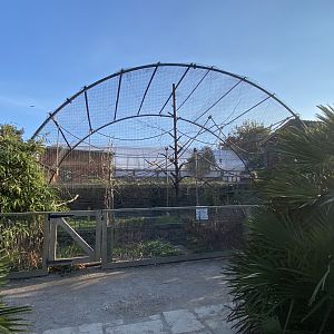 Red-faced spider monkey enclosure 190325