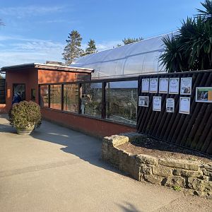 Meerkat enclosure 190325