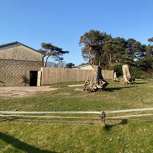 Bactrian camel enclosure 190325