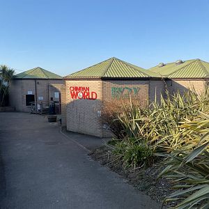 View towards Chimpan World 190325