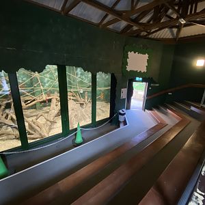 Chimpan World indoors 190325