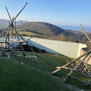 Chimpan World outdoors 190325