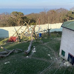 Chimpan World outdoors 190325