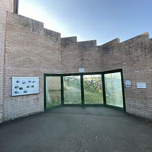 Chimpan World viewing window 190325