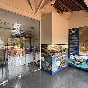 White-clawed Crayfish Breeding Centre