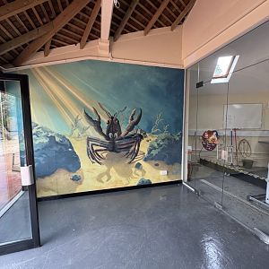 White-clawed Crayfish Breeding Centre