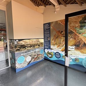 White-clawed Crayfish Breeding Centre