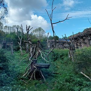 Monkey House - South America exhibit