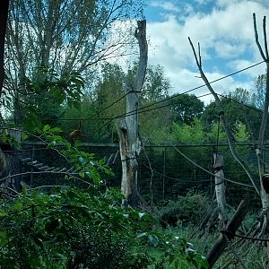 Monkey House - South America exhibit